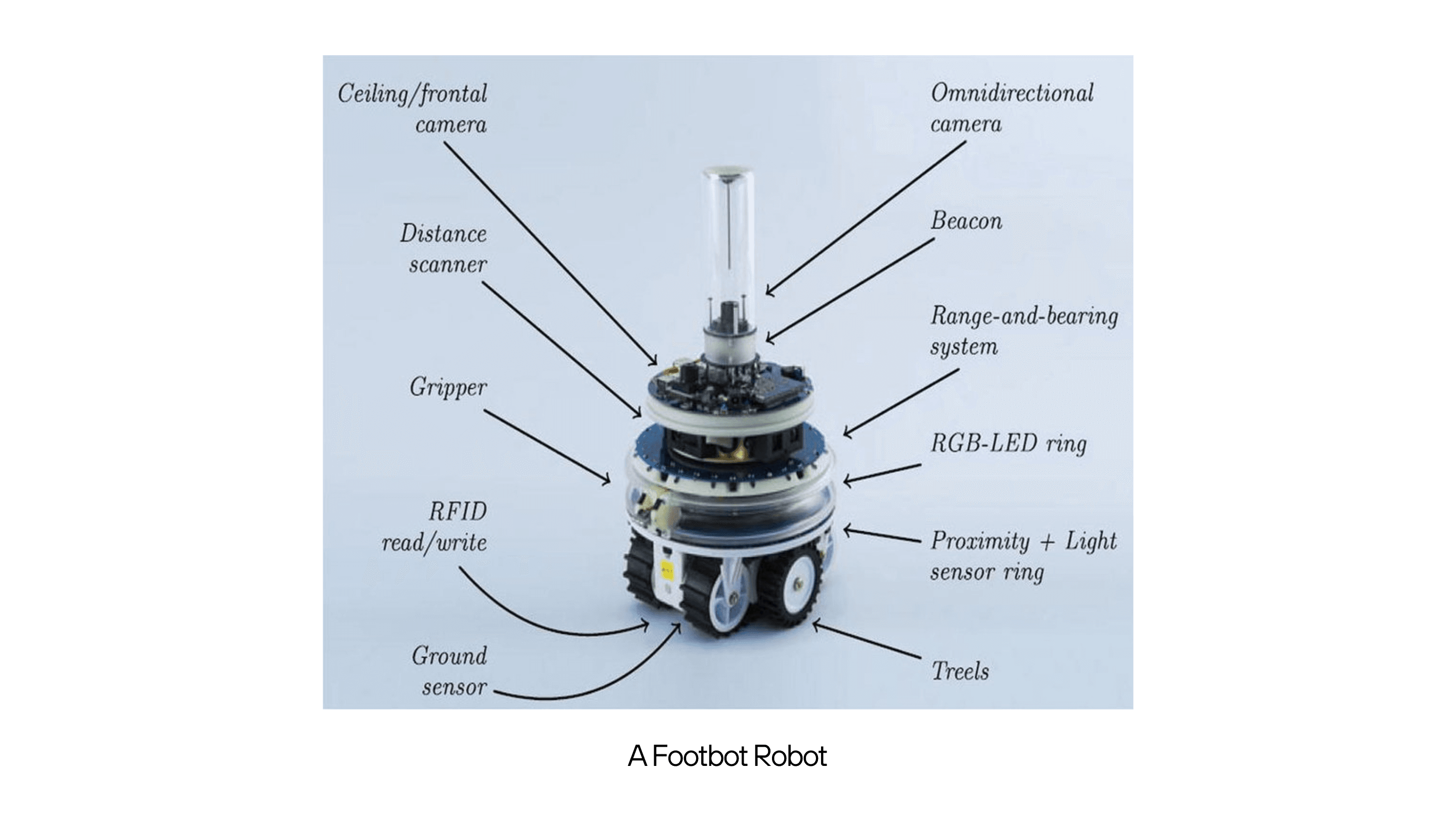 A Footbot robot